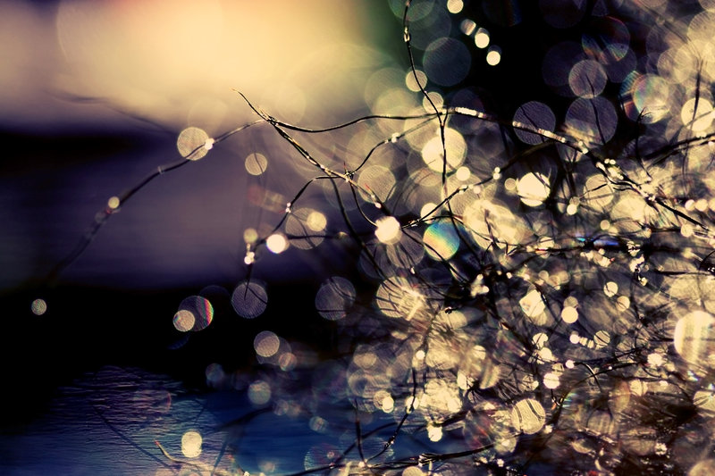 where_fairies_dream_by_incredi_d4d8w4c